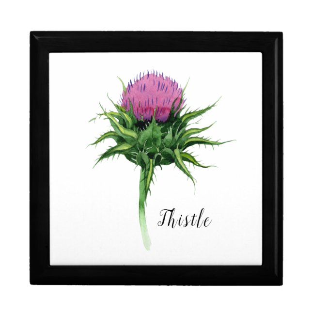 Watercolor Thistle Gift Box (Front)