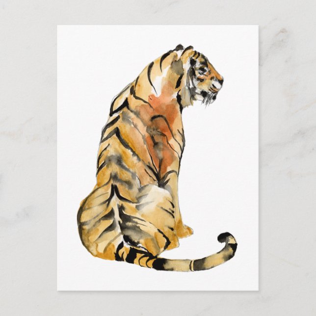 Watercolor Tiger Sitting Postcard (Front)