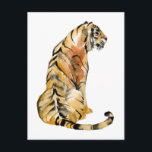 Watercolor Tiger Sitting Postcard<br><div class="desc">Sitting Tiger I by Jennifer Goldberger. A tiger in a watercolor style casually poses by sitting. | 163738Z</div>