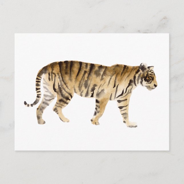 Watercolor Tiger Walking Postcard (Front)