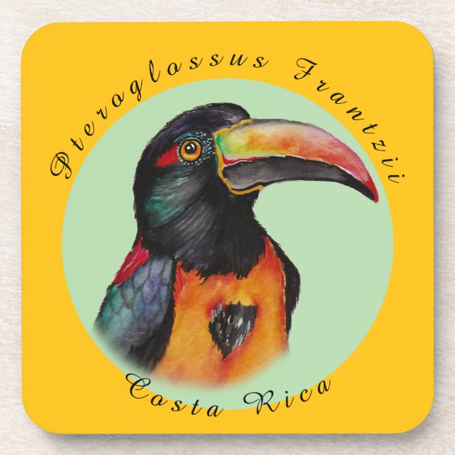 Watercolor toucan beverage coaster (Front)