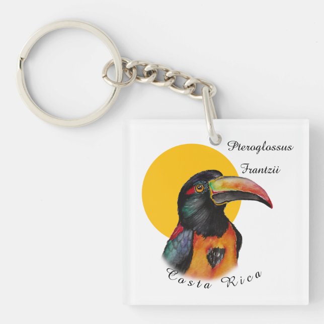 Watercolor toucan keychain (Front)