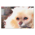 Watercolor Toy Poodle Face cream Tissue Paper