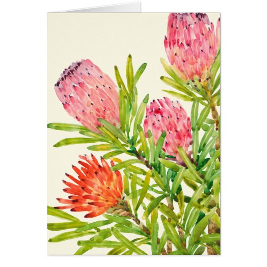 Watercolor Tropical Flowers (Front)