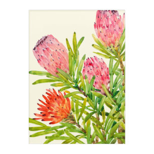 Watercolor Tropical Flowers Acrylic Print