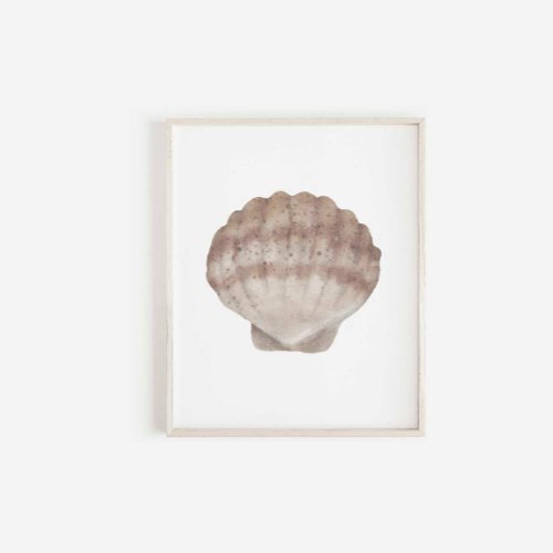 watercolor vintage seashell print