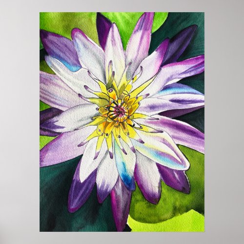 Watercolor water lilies fine art poster