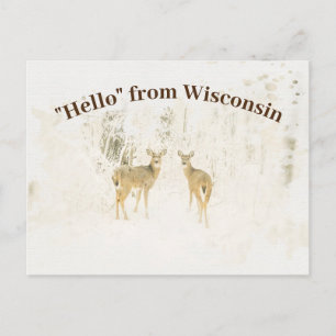 Watercolor Welcome to Wisconsin White Tailed Deer Postcard