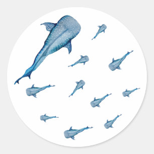 Watercolor whale shark classic round sticker