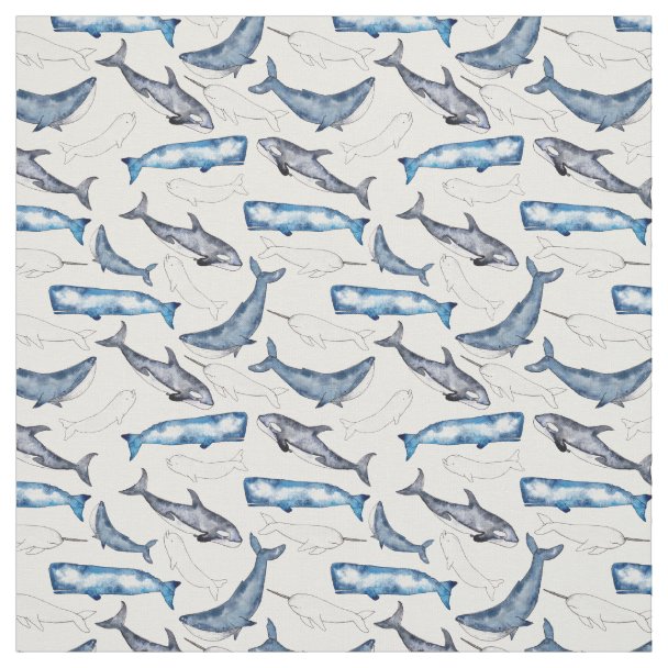 Beluga Whale Fabric | Zazzle.com