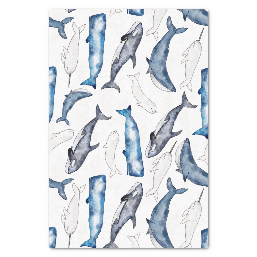 Disover Watercolor Whales Tissue Paper