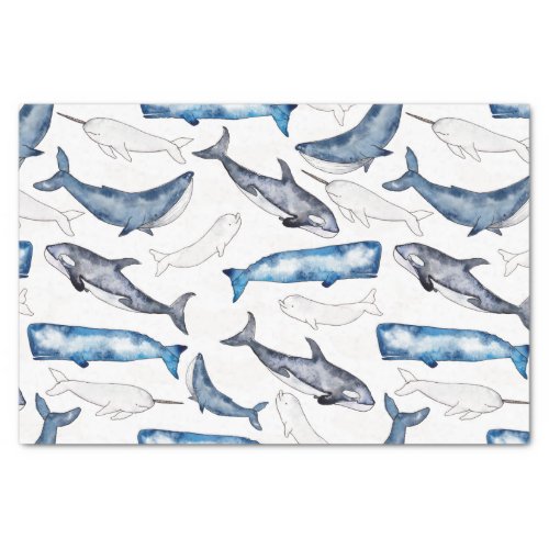 Watercolor Whales Tissue Paper