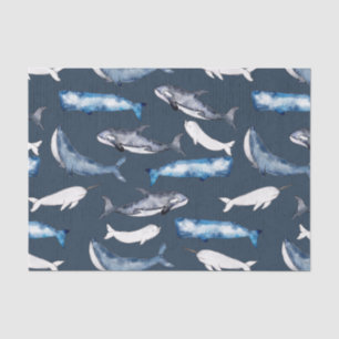 Watercolor Whales Tissue Paper