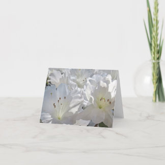 Watercolor White Azaleas Note Card