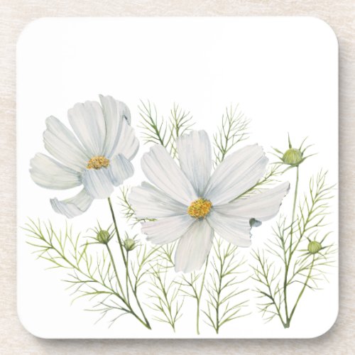 Watercolor White Cosmos Flowers Botanical Painting Beverage Coaster