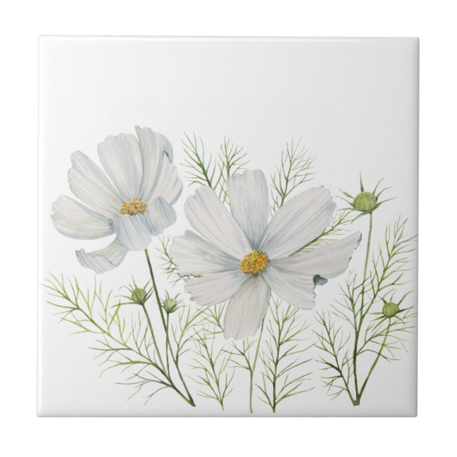 Watercolor White Cosmos Flowers Botanical Painting Ceramic Tile (Front)