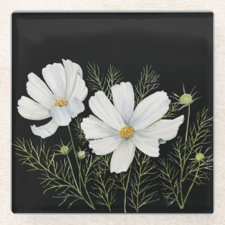 Watercolor White Cosmos Flowers Botanical Painting