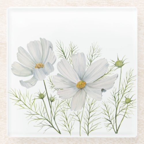 Watercolor White Cosmos Flowers Botanical Painting Glass Coaster