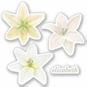 Watercolor white lily. Garden flowers. Floral Sticker