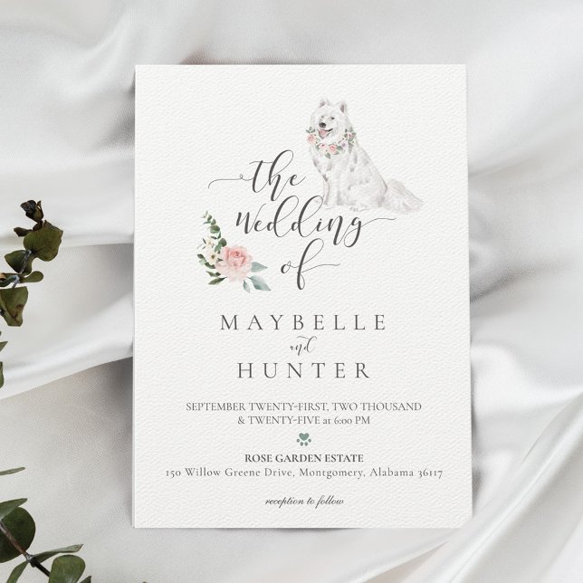 Watercolor White Samoyed Dog & Floral Pink Rose Invitation (Creator Uploaded)
