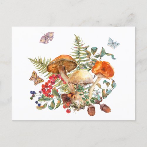 Watercolor Wild Forest Mushrooms Berries Acorns Postcard