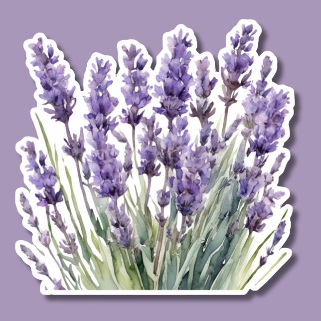 Watercolor Wild Lavender Waterproof  Sticker (Creator Uploaded)