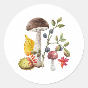 Watercolor Wild Mushrooms, Autumn Leaves, Berries Classic Round Sticker