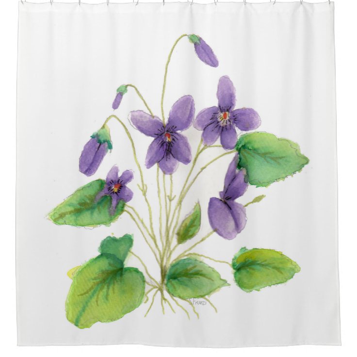 Watercolor Wild Violets Shower Curtain Zazzle 1121