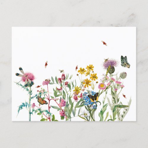 Watercolor Wildflower Insects Floral Spring Garden Holiday Postcard