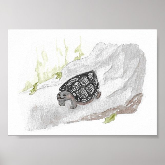 Watercolor Wildlife Nature Forest Turtle Poster (Front)