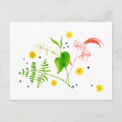 watercolor wildlower postcard