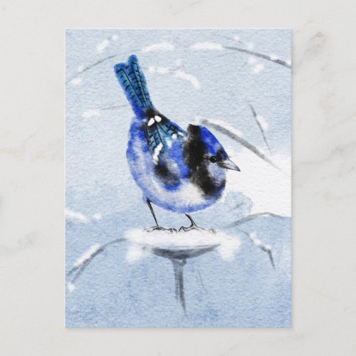 Watercolor Winter Blue Bird in Snow Holiday Postcard
