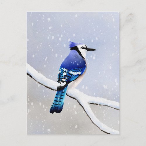 Watercolor Winter Snow Bird Blue Jay Invitation Postcard