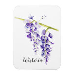 Watercolor Wisteria Botanical Magnet at Zazzle