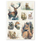 Watercolor Woodland Animals