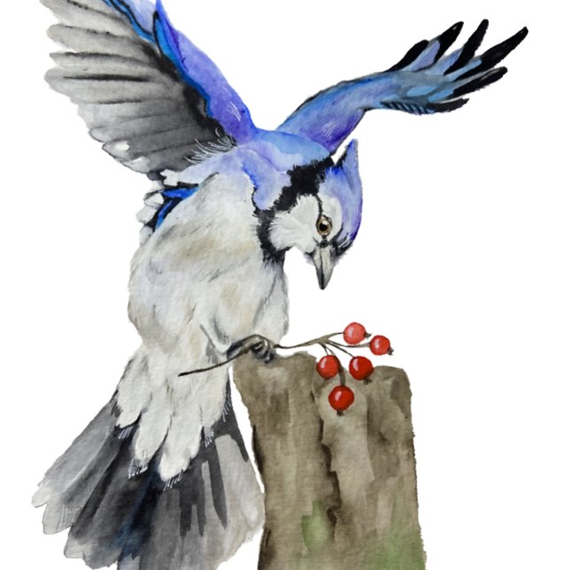 Watercolor woodland bird blue jay canvas print (Creator Uploaded)