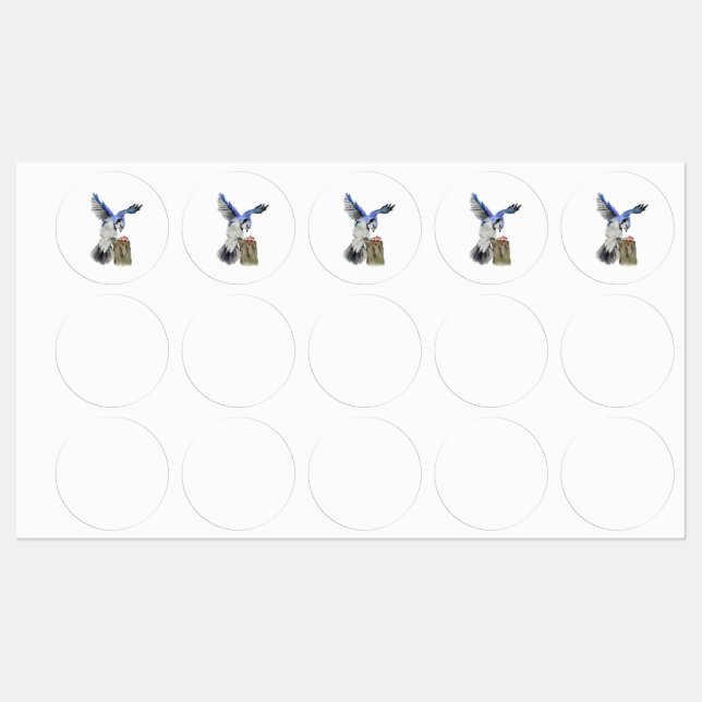 Watercolor woodland bird blue jay labels (Sheet)