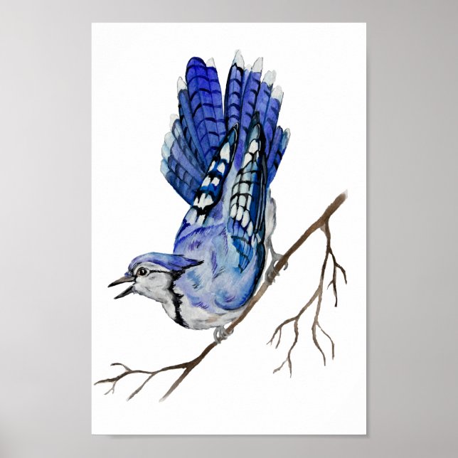 Watercolor woodland bird blue jay poster (Front)