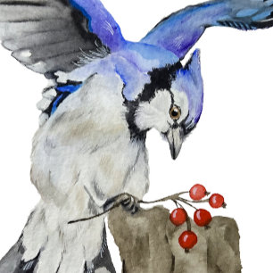 Watercolor woodland bird blue jay sticker
