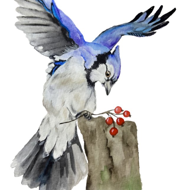 Watercolor woodland bird blue jay T-Shirt (Creator Uploaded)
