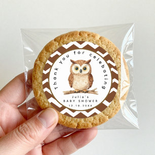 Watercolor Woodland Owl Brown Chevron Classic Round Sticker