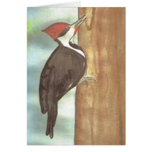 watercolor woodpecker (Front)