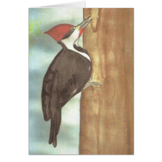 watercolor woodpecker cards