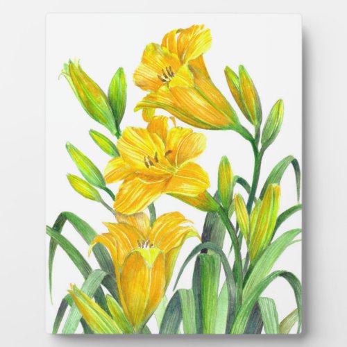 Watercolor Yellow Day Lilies Floral Art Plaque