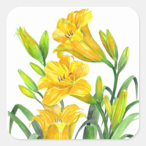 Watercolor Yellow Day Lilies Floral Art Square Sticker