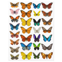 WatercolorButterfly set for fussy cut