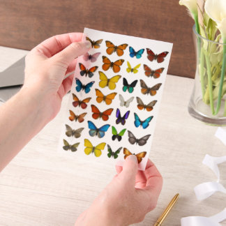 WatercolorButterfly set for fussy cut Vellum Invitations