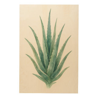 Watercolour Aloe Vera Botanical Wood Wall Art