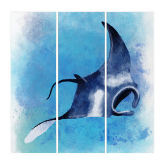 Watercolour artwork of Manta Ray Triptych