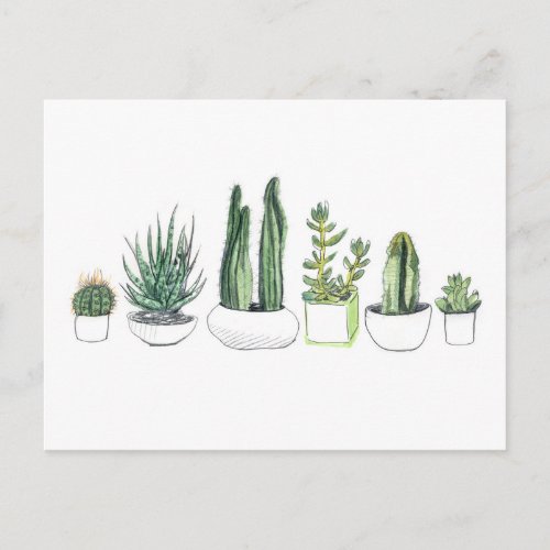 Watercolour Cacti  Succulents Postcard